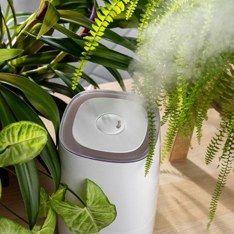 What Are Waterless and Heatless Diffusers? A Complete Guide
