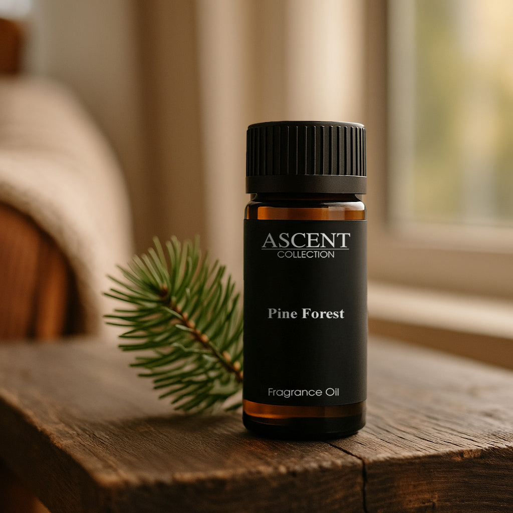 Pine Forest